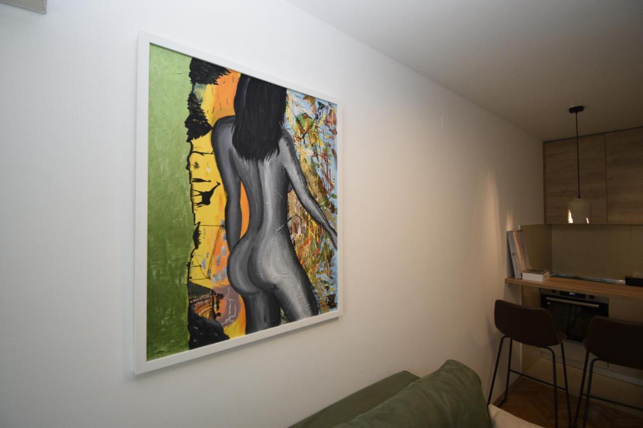 Studio Apartment Art Zone Подгориця Екстер'єр фото