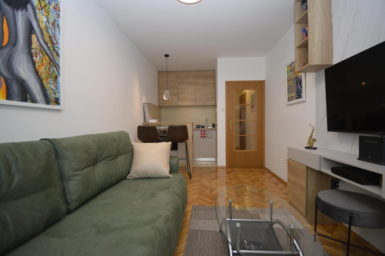 Studio Apartment Art Zone Подгориця Екстер'єр фото