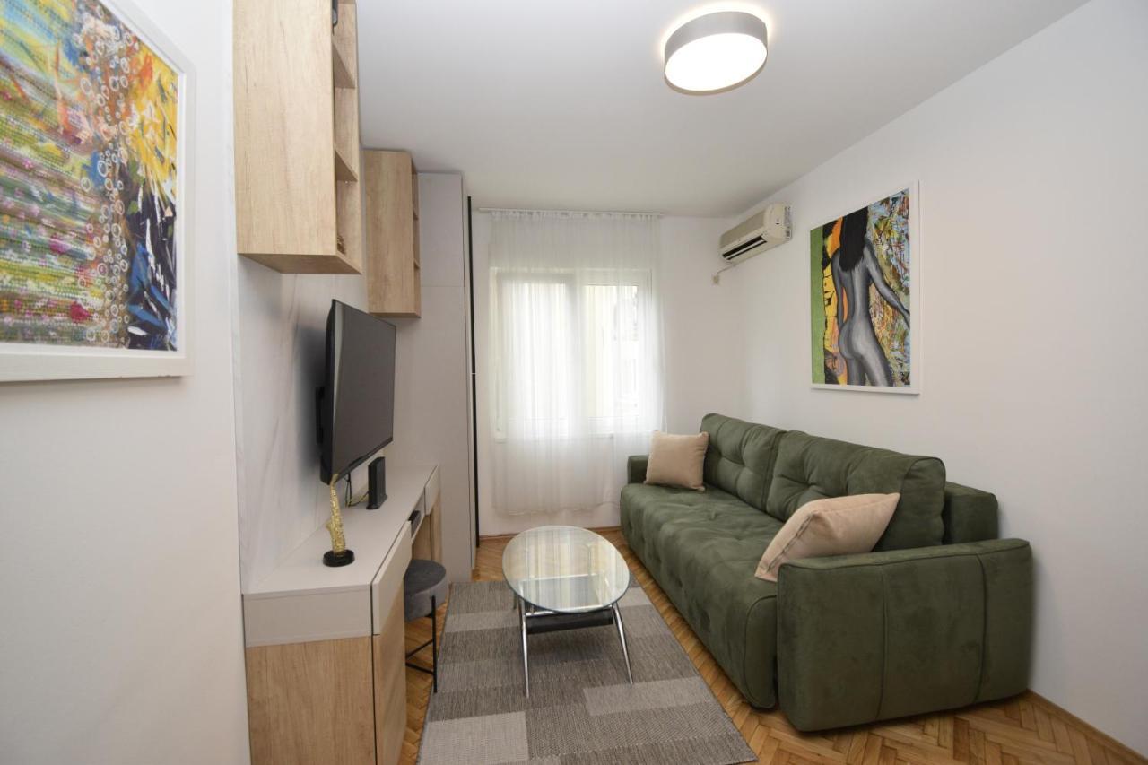 Studio Apartment Art Zone Подгориця Екстер'єр фото