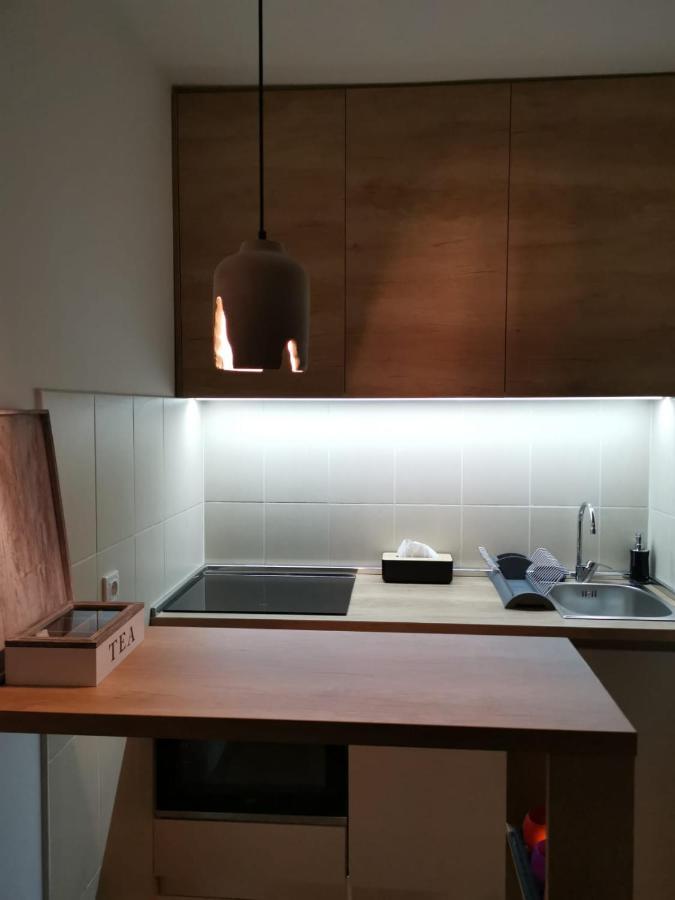 Studio Apartment Art Zone Подгориця Екстер'єр фото